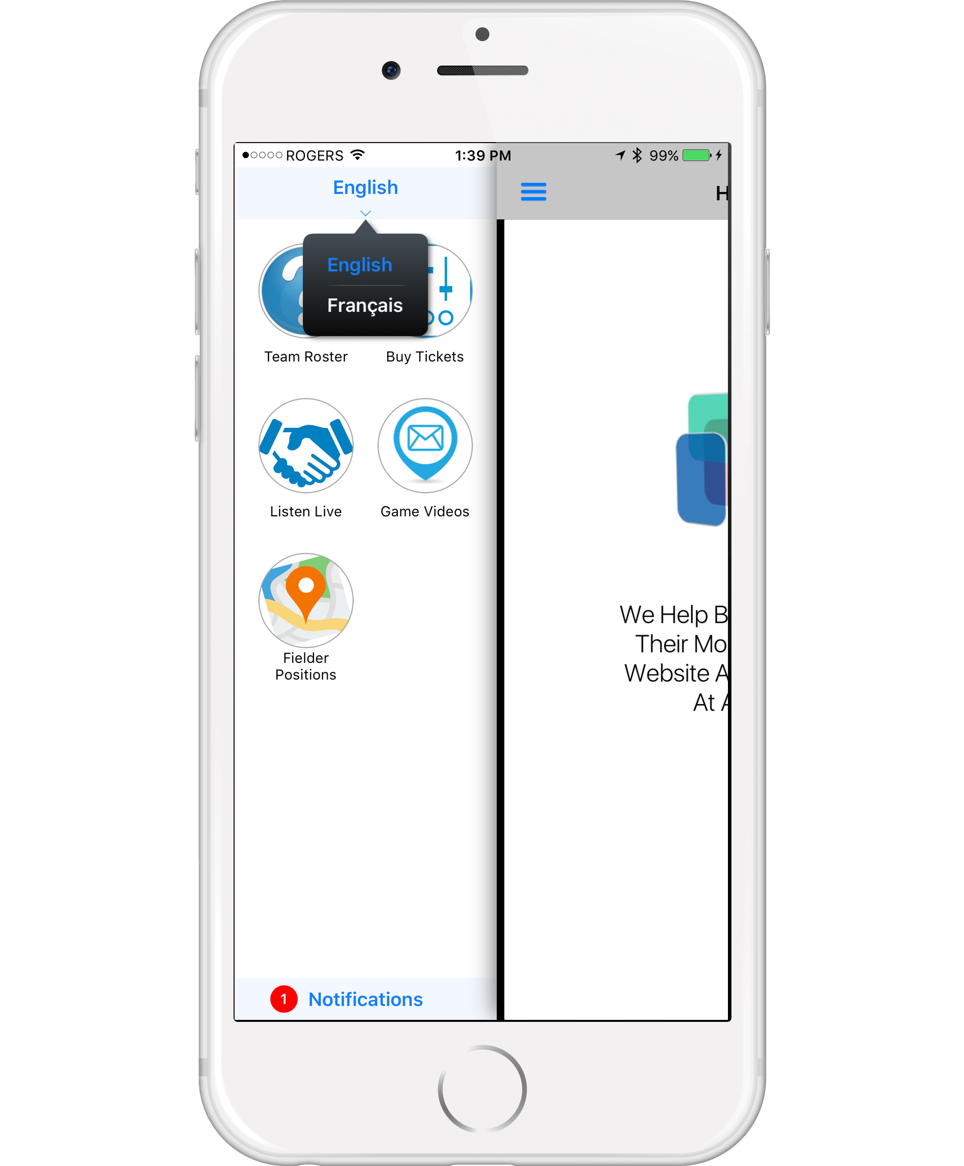 Sample Mapping Image
